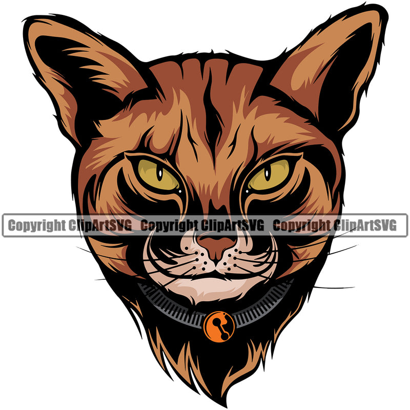 Abyssinian Animal Cat Breed With White Background Vector Clipart SVG