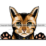 Animal Cat Bengal Breed Peeking Color White Background Vector Clipart SVG