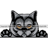 Animal Peeking Color Breed British Shorthair Cat Vector Logo Clipart SVG