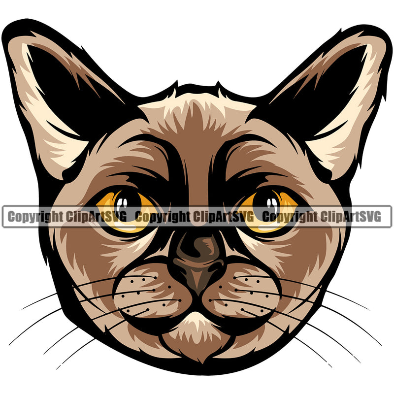 Animal Burmese Breed Cat Color Burmese British Logo Vector Clipart SVG