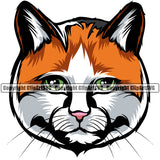 Animal Persian Breed Calico Design Color Cute Cat Face Vector Clipart SVG