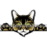 Animal Breed Cat Maine Coon Peeking Color Cartoon Cat Vector Clipart SVG