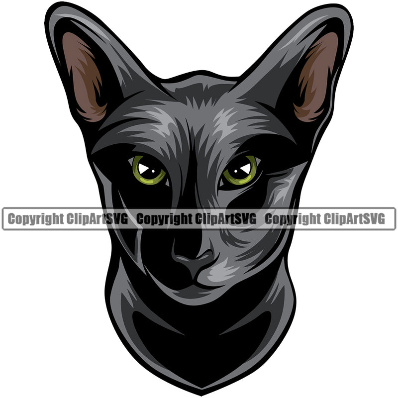 Animal Breed Cat Oriental  Breed Color Cat Black Logo Vector Clipart SVG