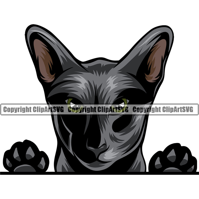 Animal Black Color Oriental Cat Peeking Breed Logo Vector Clipart SVG
