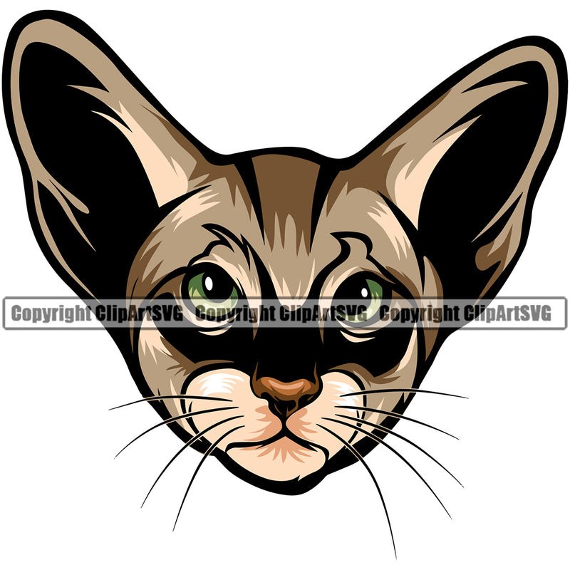 Animal Breed Cat Oriental Color Feline Peeking Vector Design Element Clipart SVG