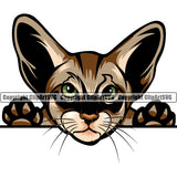 Animal Peeking Color Oriental Breed Cat Vector Beautiful Clipart SVG