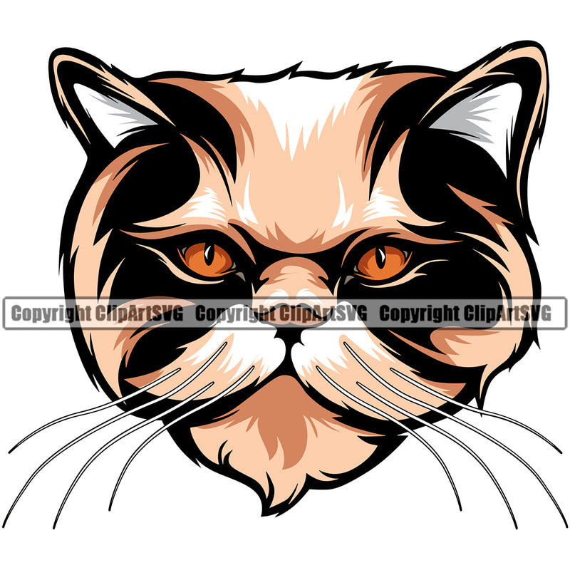 Animal Persian Breed Cat Oriental Logo Vector Design Clipart SVG