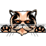 Animal Persian Breed Peeking Color Persian Cat  Beautiful And Looking Vector Clipart SVG