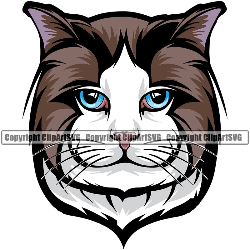 Animal  Persian Breed Ragdoll Kitty  Animal Ragdoll Feline Bloodline Clipart SVG