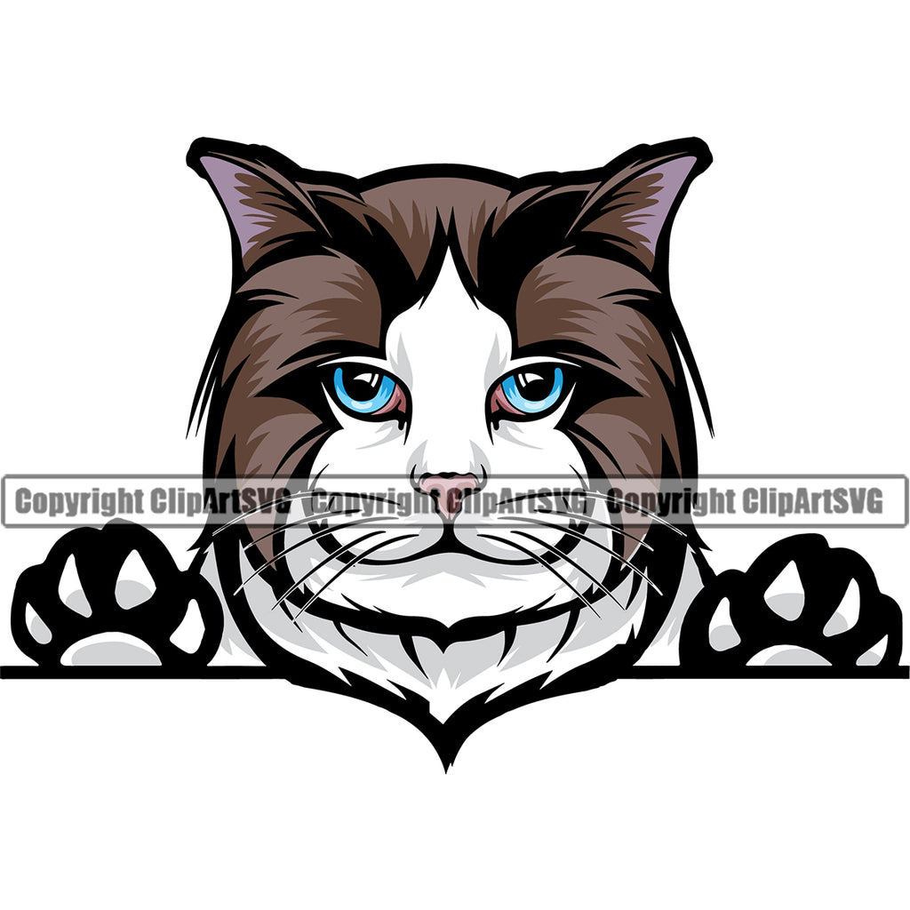 Animal Persian Breed Ragdoll Peeking Color Feline Cute Looking Clipart SVG