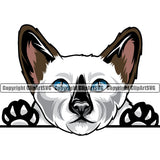 Animal Breed Cat Siamese Peeking Color Purebred Pedigree Animal Clipart SVG