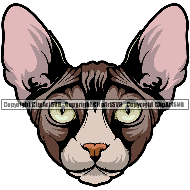 Animal Persian Breed Sphynx Purebred With White Background Logo Clipart SVG