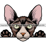 Animal Cat Sphynx Pedigree Purebred Peeking Color Breed Cat Clipart SVG