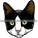 Animal Cat Breed Color Sphynx Animal Beautiful Peeking color Clipart SVG