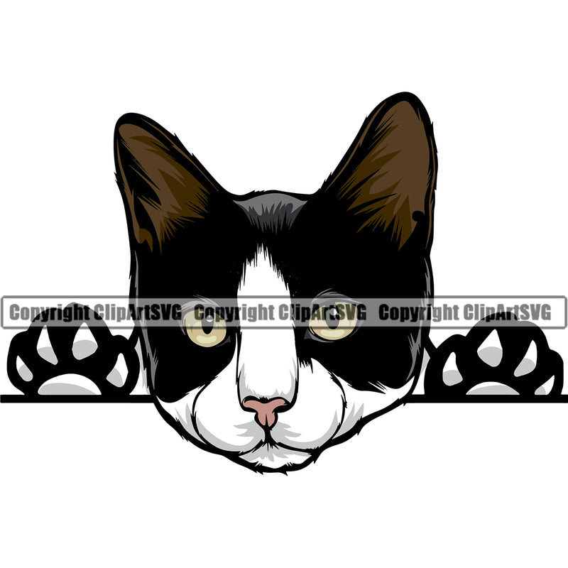 Animal Breed Tuxedo Beautiful Cat Sphynx Purebred Design Element Clipart SVG