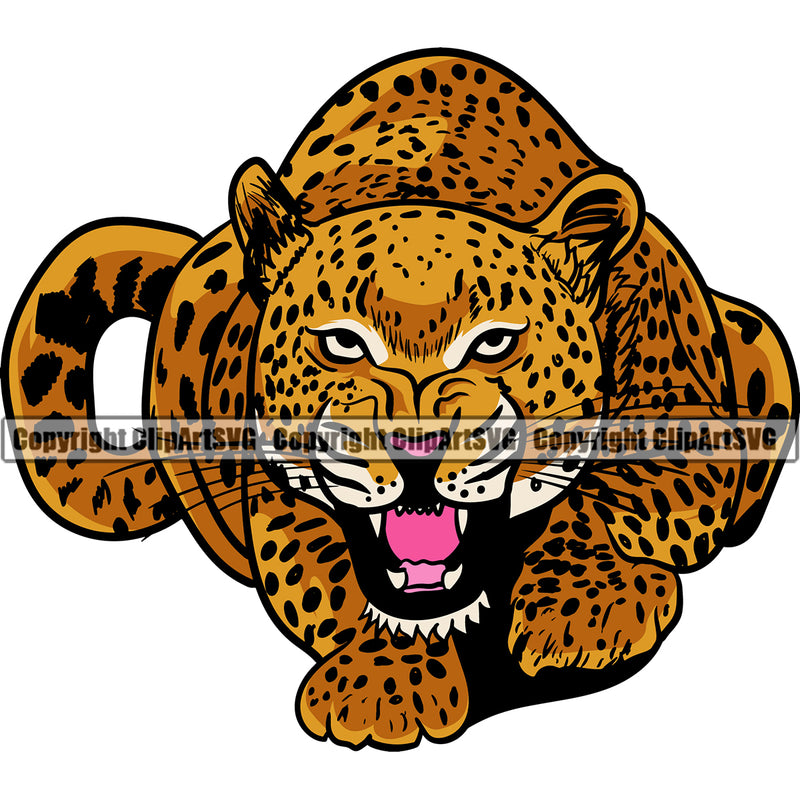 Animal Cheetahs Full Body Color Vector Design Element Head Mascot Jaguar Leopard Clipart SVG