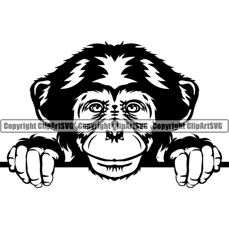 Chimpanzee Monkey Peeking Gorilla Peek-a-boo Ape Mascot Sports Team Head Logo ClipArt SVG