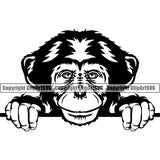 Chimpanzee Monkey Peeking Gorilla Peek-a-boo Ape Mascot Sports Team Head Logo ClipArt SVG