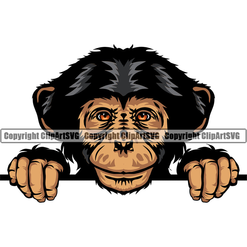 Monkey Mascot Head Face Wild Zoo Animal Nature Sports Team Logo ClipArt SVG