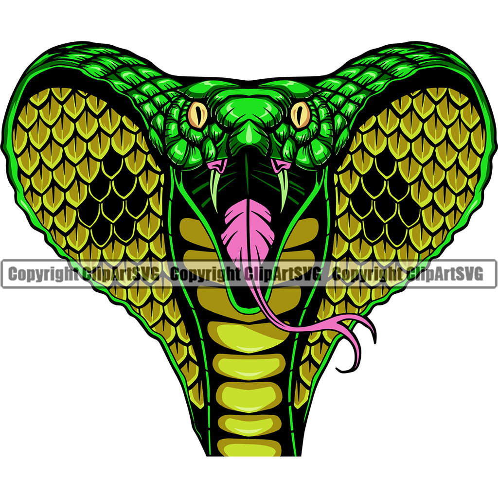 Angry cobra snake. Ink black and white drawing - Stock Illustration  [94176029] - PIXTA