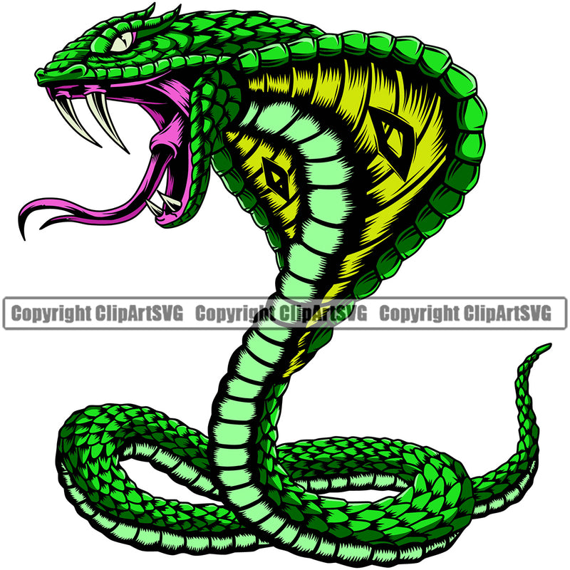 Cobra Snake Sports Team Mascot Element Color ClipArt SVG