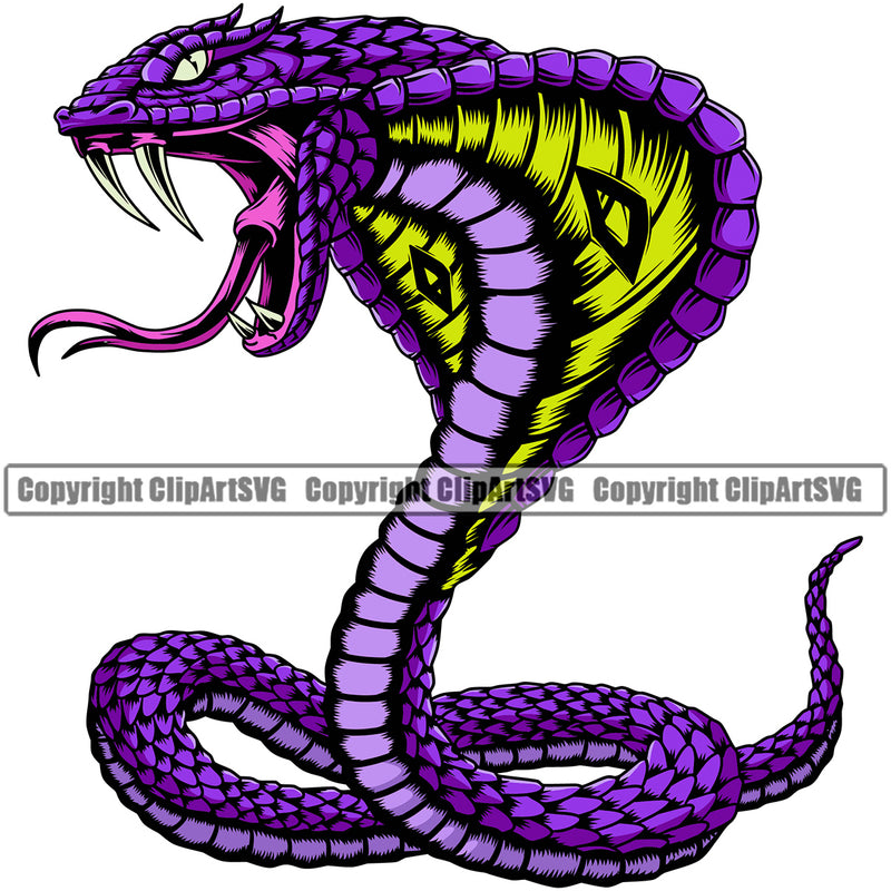 Cobra Rattlesnake Snake Head Sports Mascot Element Color ClipArt SVG