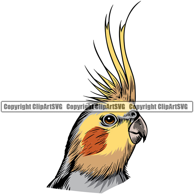 Cockatiel Pet Bird Head Sports Team Color Logo ClipArt SVG