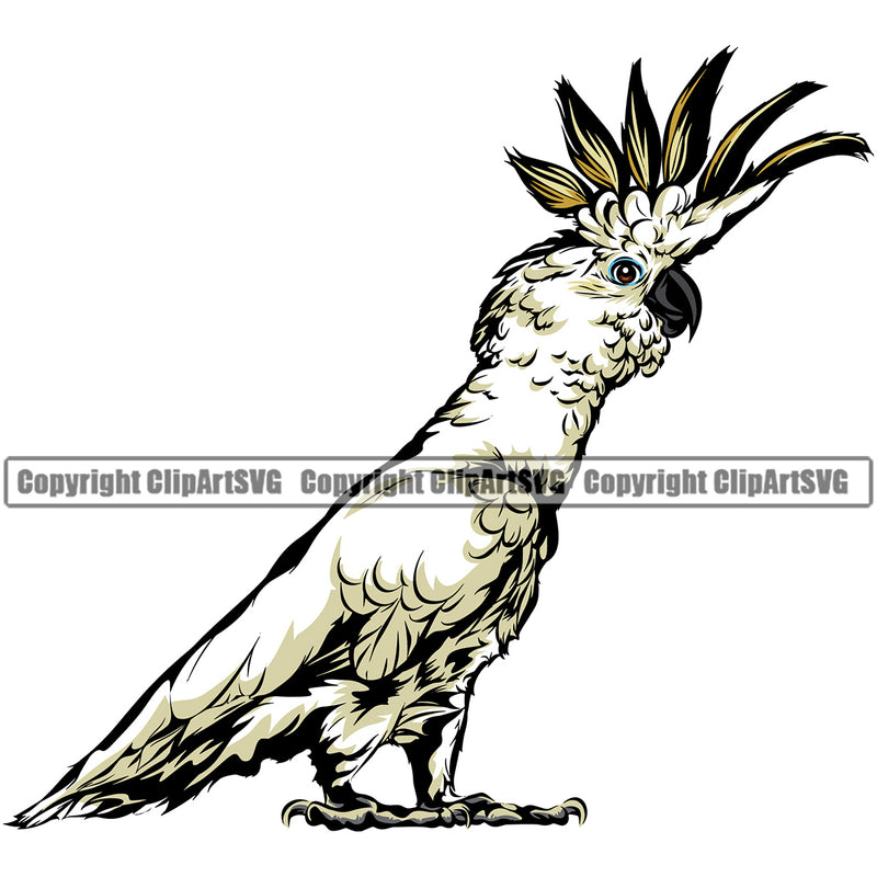 Cockatiel Pet Bird Wildlife Parrot Sports Team Logo ClipArt SVG