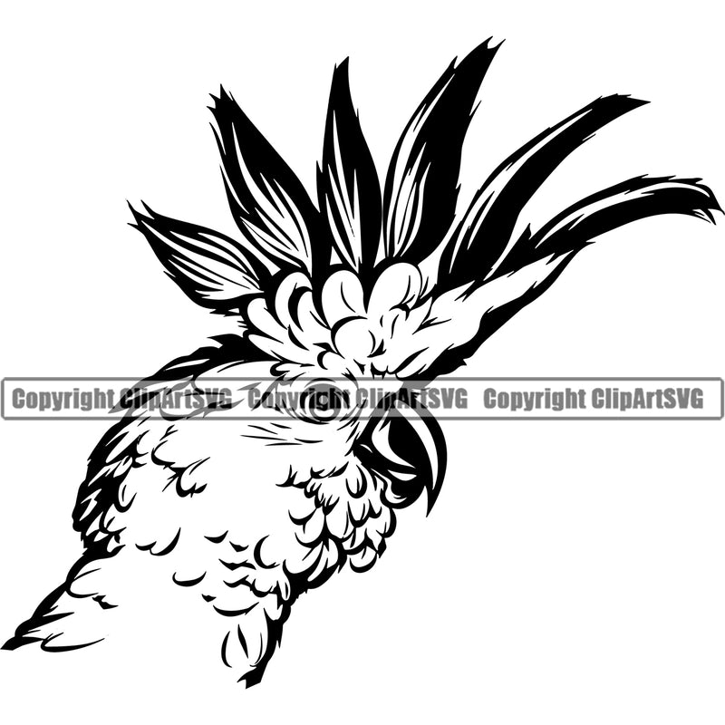 Cockatiel Pet Bird Domestic Parrot Sports Team Logo ClipArt SVG