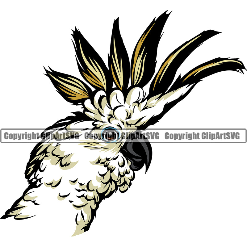 Cockatiel Pet Bird Domestic Parrot Beak Feathers Parakeet Perch Beak Sports Team Logo ClipArt SVG