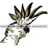 Cockatiel Pet Bird Domestic Parrot Beak Feathers Parakeet Perch Beak Sports Team Logo ClipArt SVG
