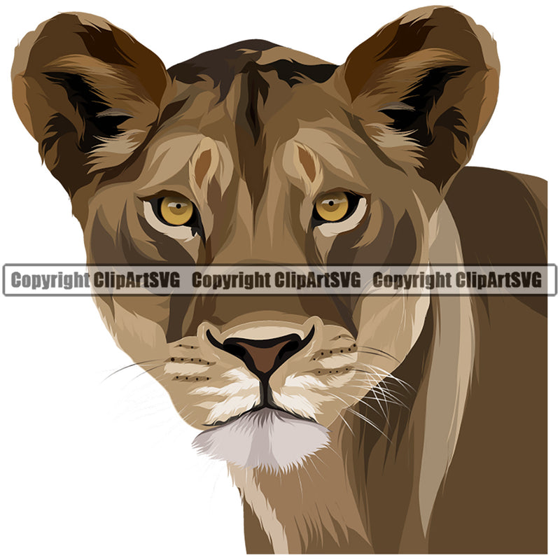 Animal Lion Sports Team Color Wildlife Jungle Mascot Logo ClipArt SVG