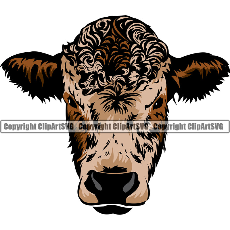 Animal Funny Cartoon Cow Brown Hair Color Vector Dairy Steer Cattle Steer Cattle Cowboy Logo Logo Livestock Clipart SVG