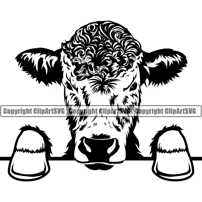 Focused Cow  Steer Cattle Farm Sports Team Mascot Beef Logo Design Element ClipArt SVG