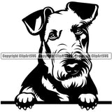 Airedale Breed Peeking Dog Animal Cute Face Puppy Pup Head Purebred Design Pedigree Clipart SVG