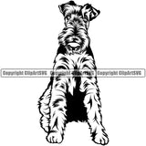 Airedale Peeking Cute Dog Sitting Animal Puppy Smiling Face Vector Breed Pup Head Purebred Pup Pedigree Clipart SVG