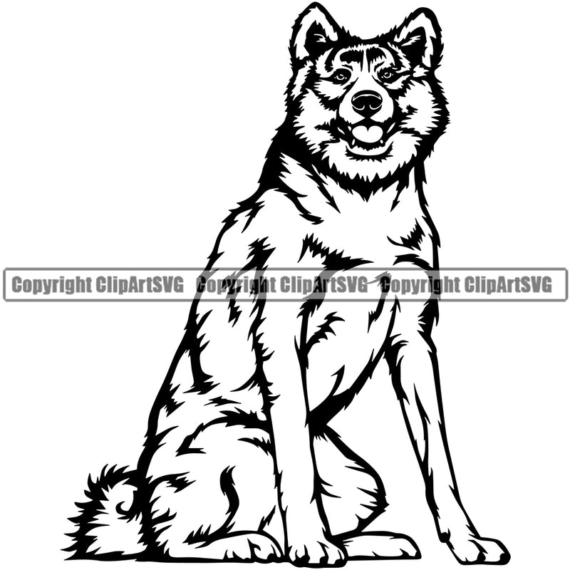 Animal Dog Akita Sitting Breed Pup Head Purebred Canine K-9 Vector K9 Animal Portrait Doggy Face Clipart SVG