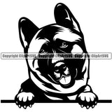 Akita Animal Dog Peeking Canine K-9 K9 Animal Portrait Doggy Vector Animal Portrait Doggy Face Pedigree Clipart SVG