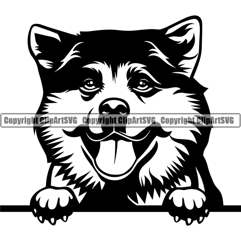 Siberian Husky Akita Peeking Dog Canine K-9 K9 Animal Portrait Animal Portrait Doggy Face Cute Pup Pedigree Face Clipart SVG