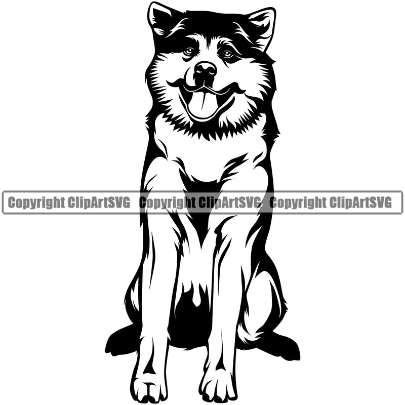 Akita Sitting Peeking Dog Animal Portrait Doggy Face Cute Pup Pedigree Canine K-9 K9 Portrait Clipart SVG