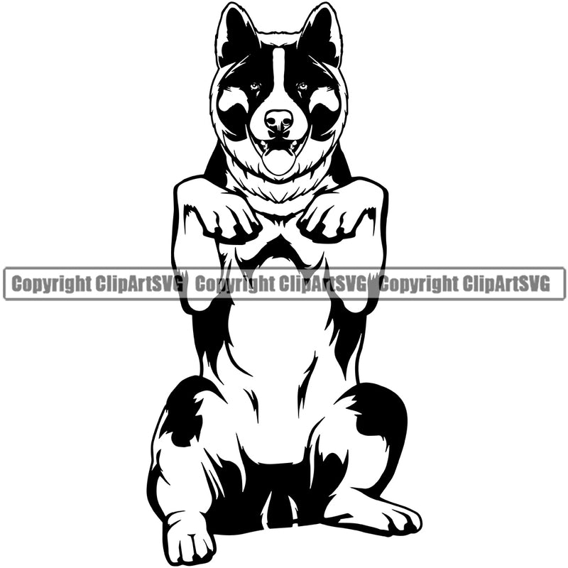 Akita Dog Begging Canine K-9 K9 Animal Portrait Design Element Doggy Dog Animal Portrait Doggy Cute Face Clipart SVG
