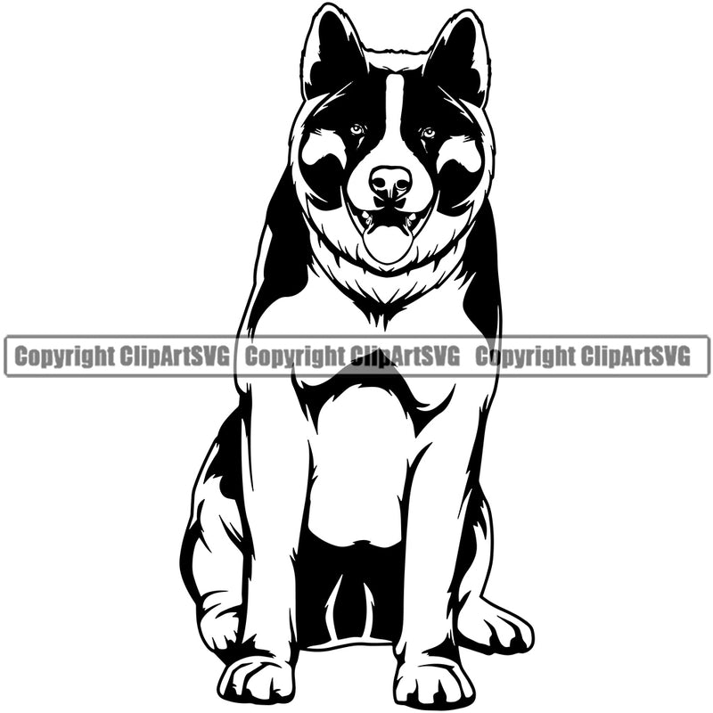 Akita Sitting Dog Design Animal Portrait Doggy Face Cute Canine K-9 K9 Portrait Doggy Clipart SVG