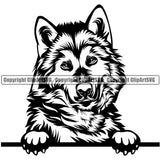 Animal Alaskan Malamute Peeking Dog Animal Portrait Doggy Cute  Face Pup Pedigree Breed Canine K-9 K9 Clipart SVG