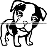 American Bull Cute Dog Breed Vector Design Element Animal Portrait Doggy Pup Pedigree Canine K-9 K9 Design Clipart SVG