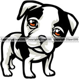 American Bull Dog Read Eyes Animal Cute Face Dog Animal Portrait Doggy Pup Pedigree Breed Canine K-9 K9 Design Clipart SVG