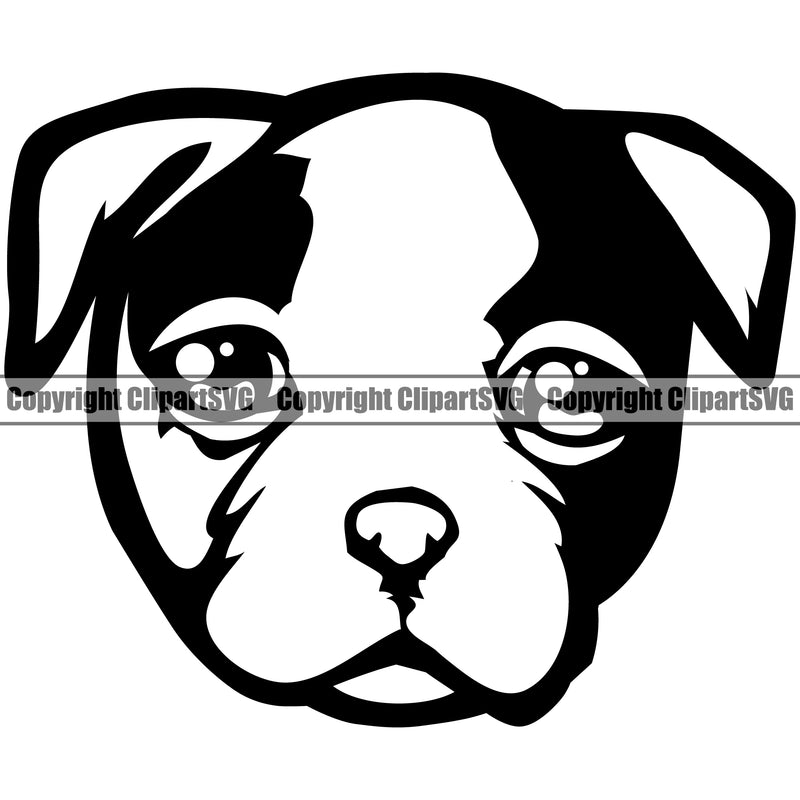 American Bull Dog Cute Face Animal Dog Vector Portrait Doggy Pup Pedigree Breed Canine K-9 K9 Design Clipart SVG