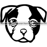 American Bull Dog Cute Face Animal Dog Vector Portrait Doggy Pup Pedigree Breed Canine K-9 K9 Design Clipart SVG