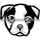 American Bull Dog Cute Face Animal Portrait Doggy Pup Pedigree Breed Canine K-9 K9 Animal Portrait Clipart SVG