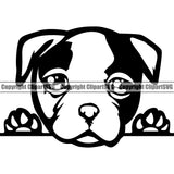 American Bull Dog Cute Face Portrait Doggy Pup Pedigree Breed Canine K-9 K9 Vector Portrait Clipart SVG