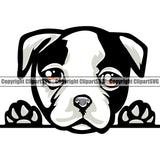 American Bull Dog Cute Face Peeking Canine K-9 K9 Animal Portrait Design Portrait Doggy Face Pup Pedigree Clipart SVG